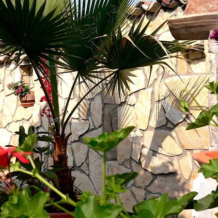 Apartmenthaus Casa Palma