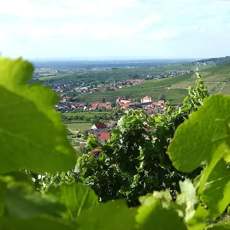 Apartmenthaus Casa Palma Apartahotel 3*