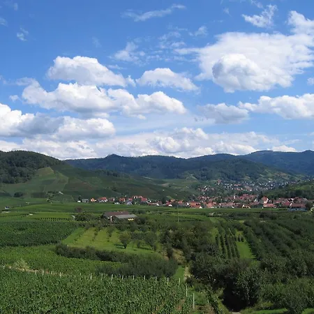 Apartmenthaus Casa Palma